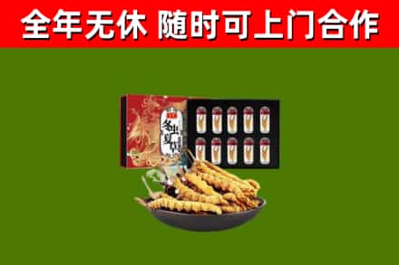 吴江回收冬虫夏草价格